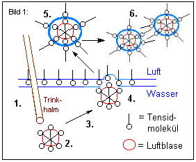 Die Seifenblasenentstehung