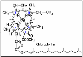 Chlorophyll a