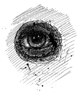 boxereins