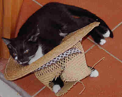 Lilly - geb. am 12.05.03