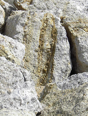 Entgasungsröhren im Suevit von Aumühle