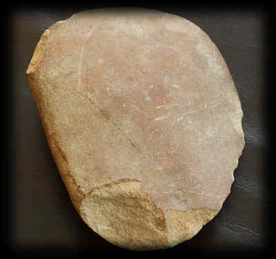 schweinfurta