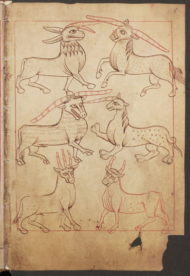 Reiner Musterbuch. Rein, Zisterzienserkloster, zwischen 1208 – 1213
