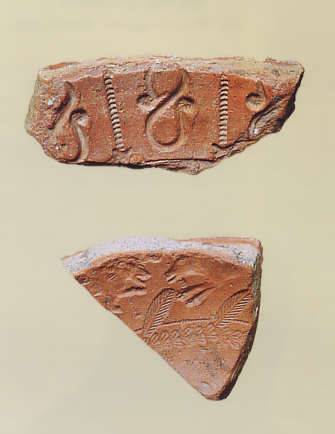 Schildbuckel