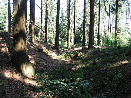 Graben und Wall des Limes bei Kaisersbach