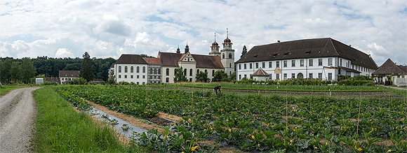 Kloster Rheinau mit Klostergarten. Bild: wikipedia/Martingarten (Eigenes Werk)