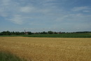 Meißenheim in der Ebene des Rieds