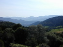 Blick vom Schönberg in Richtung Kinzigtal