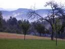 Nebelschwaden nach einem Sommerregen auf dem Gaisberg