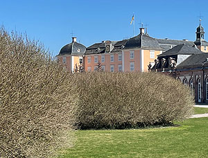 Schlossgarten Schwetzingen, Fliederhecke im Zirkelparterre, im HIntergrund das Schloss.