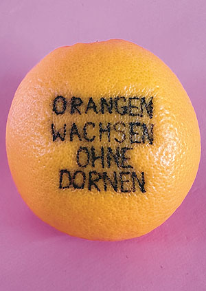 Orange mitr der Aufschrift Orangen wachsen ohne Dornen.