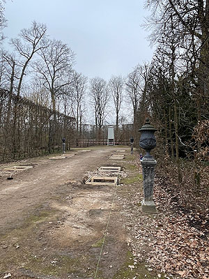 Urnenallee nach der Entfernung der Zypressen, zur Neupflanzung vorbereitet. Foto: Jürgen Wollbrecht, ssg