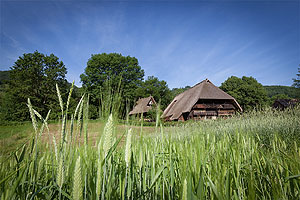 Bauernhaus "Vogtsbauernhof", im Vordergrund Getreideähren