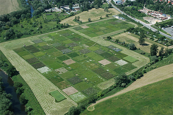 Luftbild des Jena Experiments Ein Rückblick auf 15 Jahre Biodiversitätsforschung. Foto: TU München