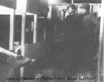 dora_amerikaner_03_gr.jpg