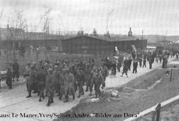 dora_amerikaner_05_gr.jpg