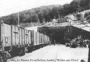 dora_amerikaner_09_gr.jpg