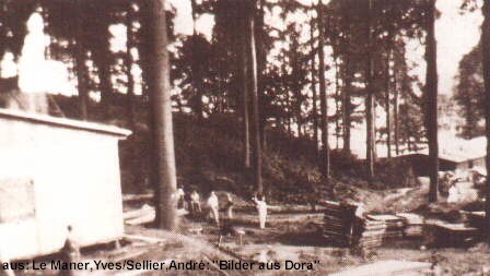 dora_lager_06_gr.jpg