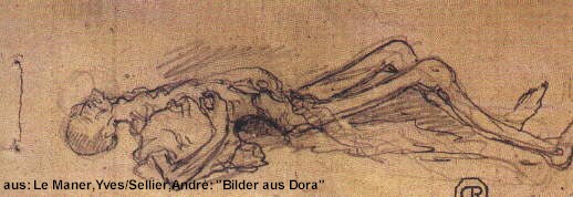 dora_leid_01_gr.jpg