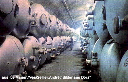 dora_v2_01_gr.jpg