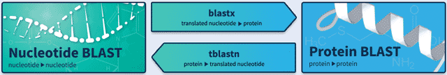 Blast Programme