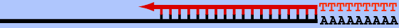 EST.gif - 1898 Bytes