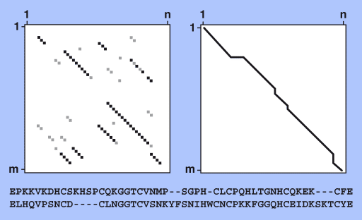 dot_path_alignment