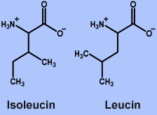 leu_ile