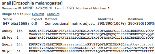 Snail Protein Alignment