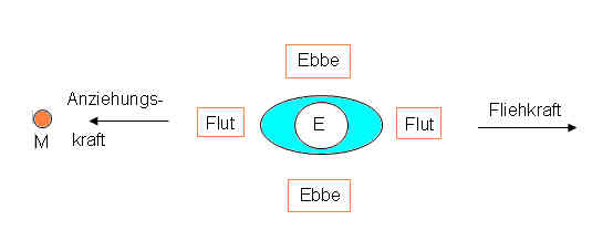 Entstehung von Ebbe und Flut
