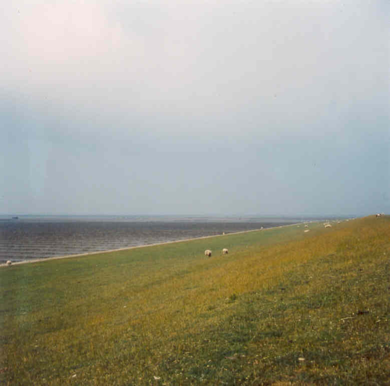 Deich bei Amrum