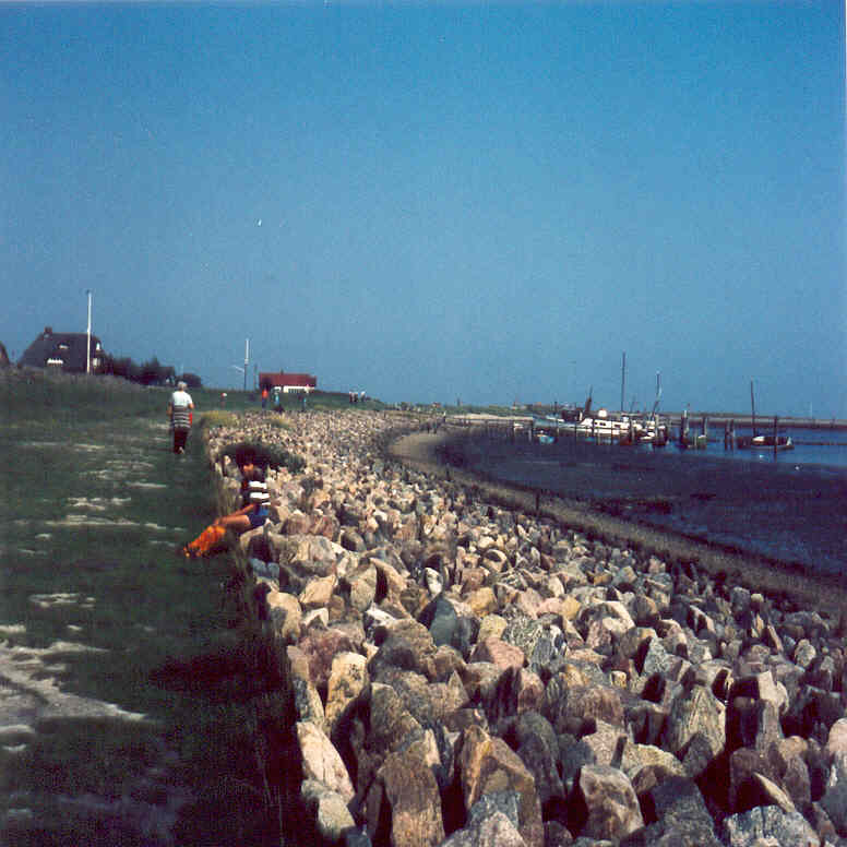 Deich am Watt auf Amrum
