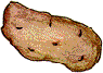 hotpotatoes
