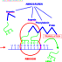 Proteinbiosynthese