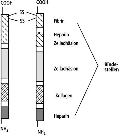 Abb.43