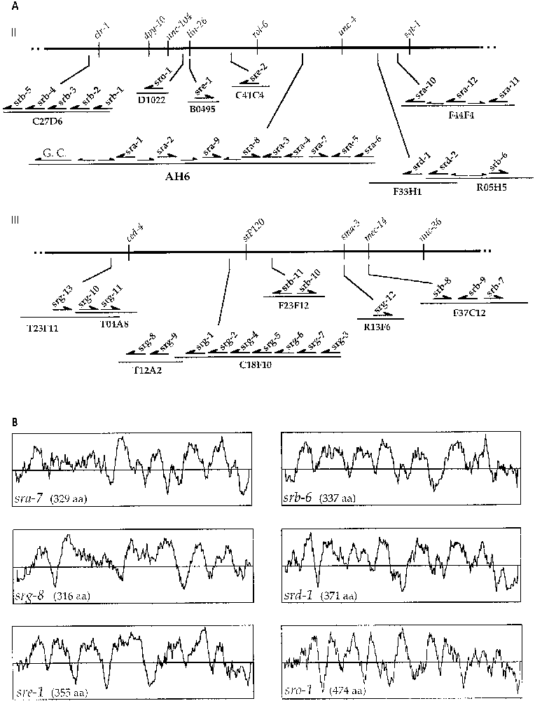 Abb.60