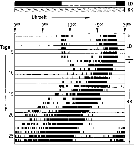 Abb.64