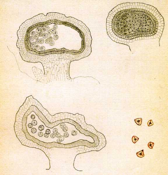 168.jpg
