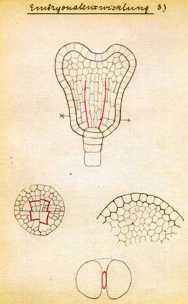 193.jpg