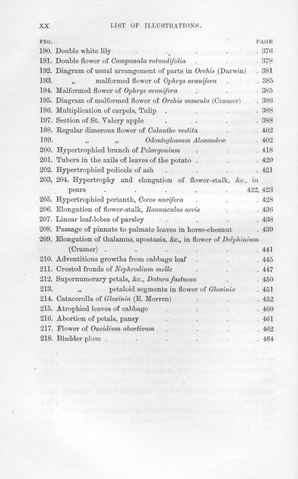 seite_017.jpg