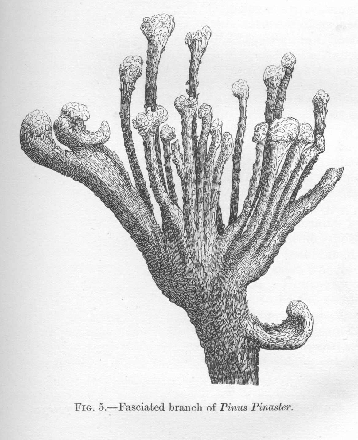 seite_048.jpg