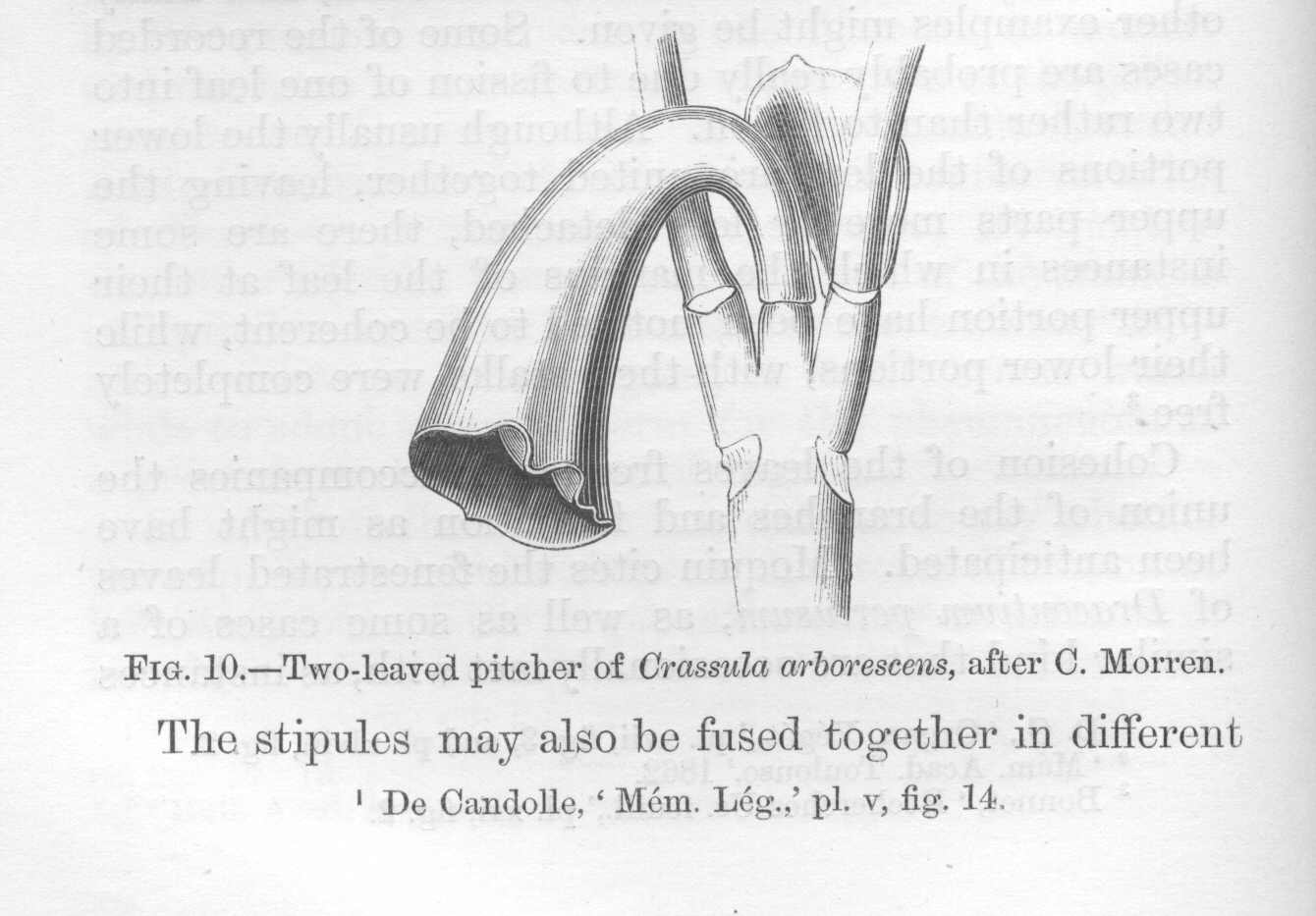 seite_063a.jpg