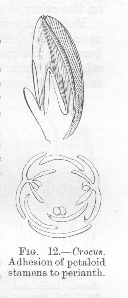 seite_071a.jpg