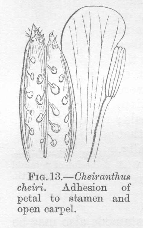 seite_072a.jpg