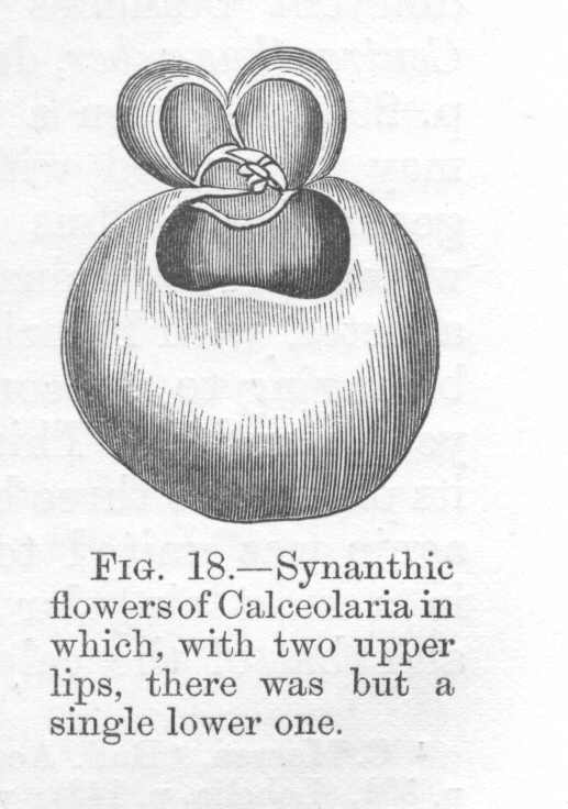 seite_077a.jpg