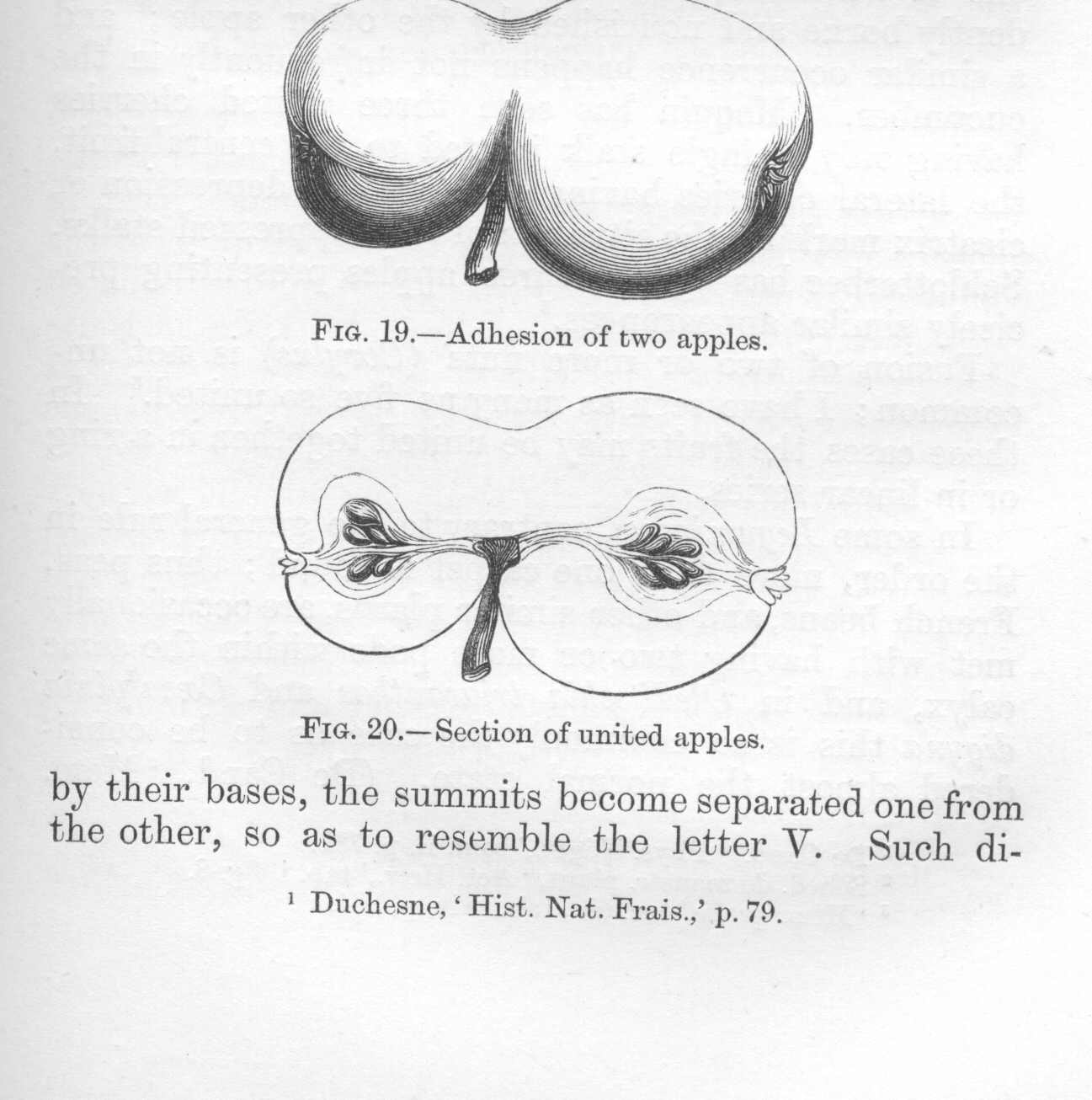 seite_083a.jpg