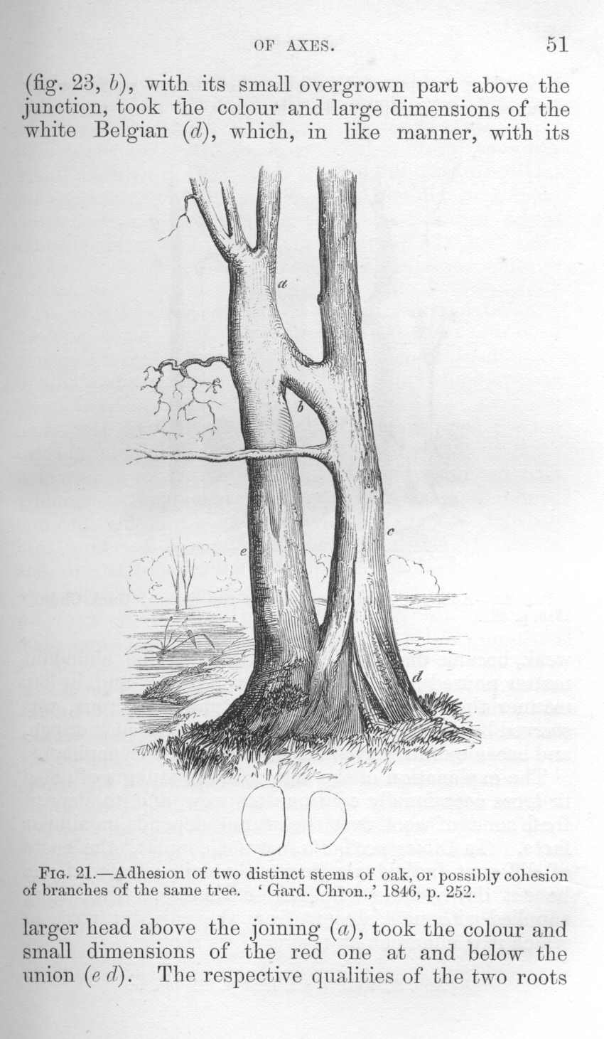 seite_087.jpg