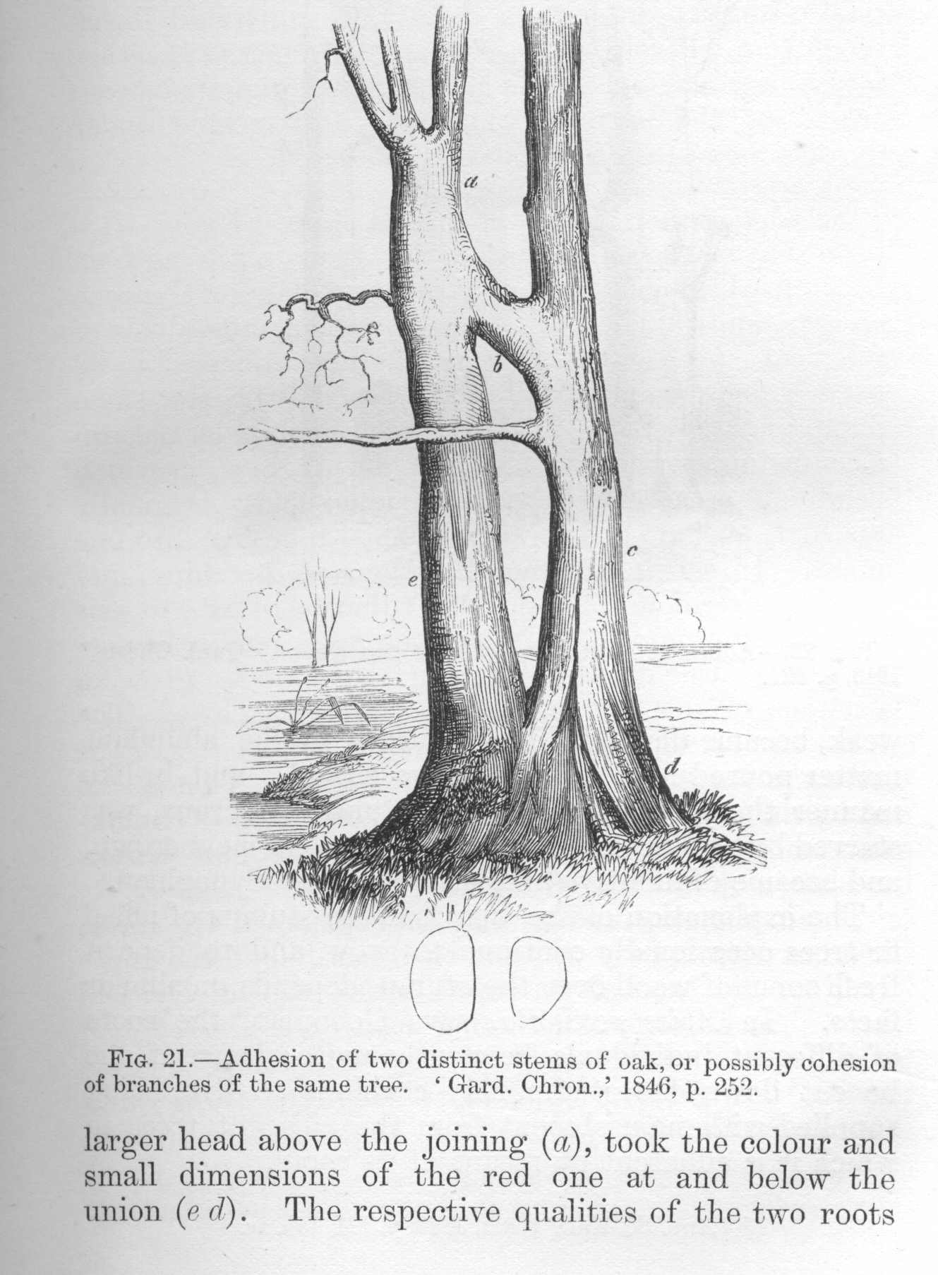 seite_087a.jpg