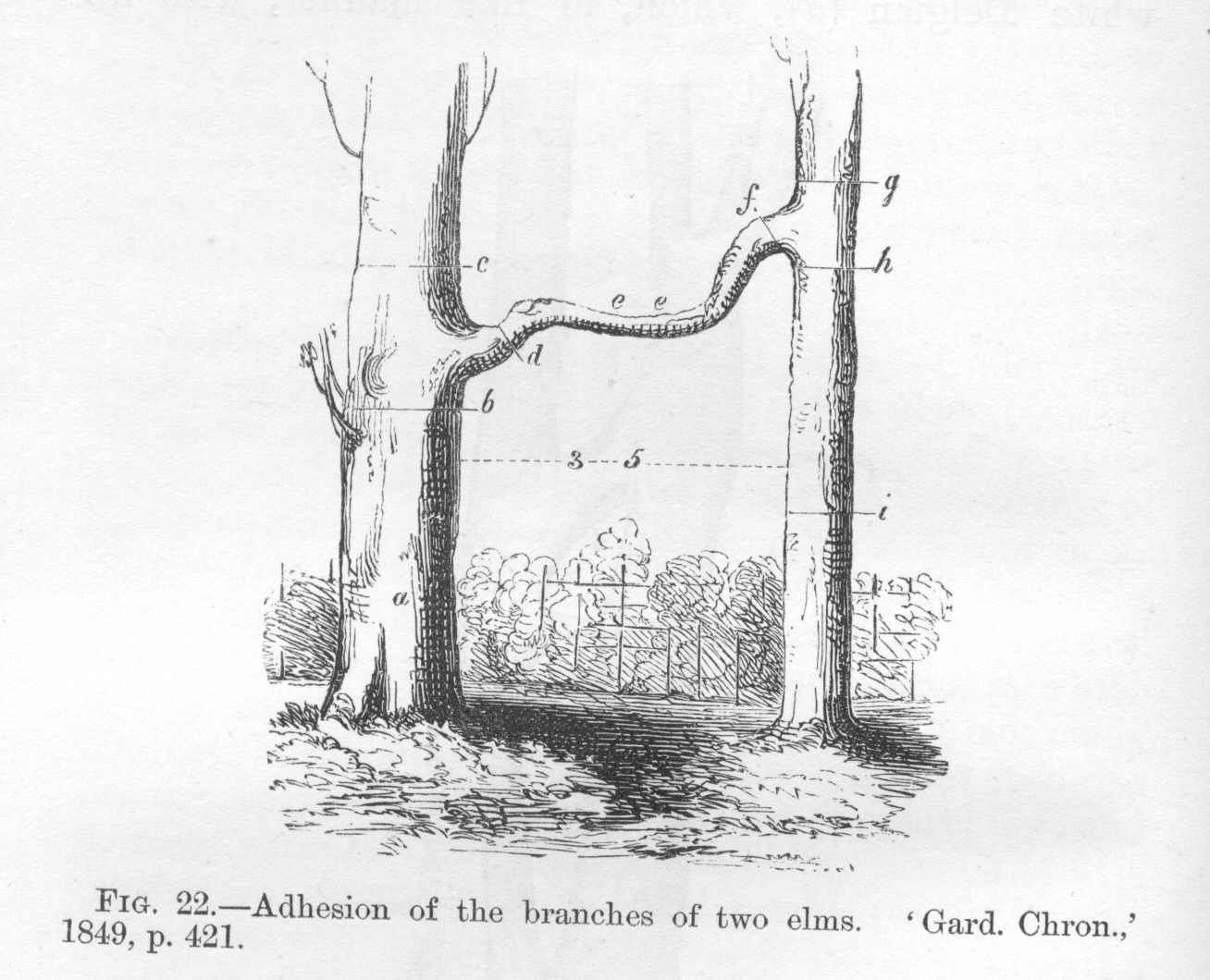 seite_088a.jpg