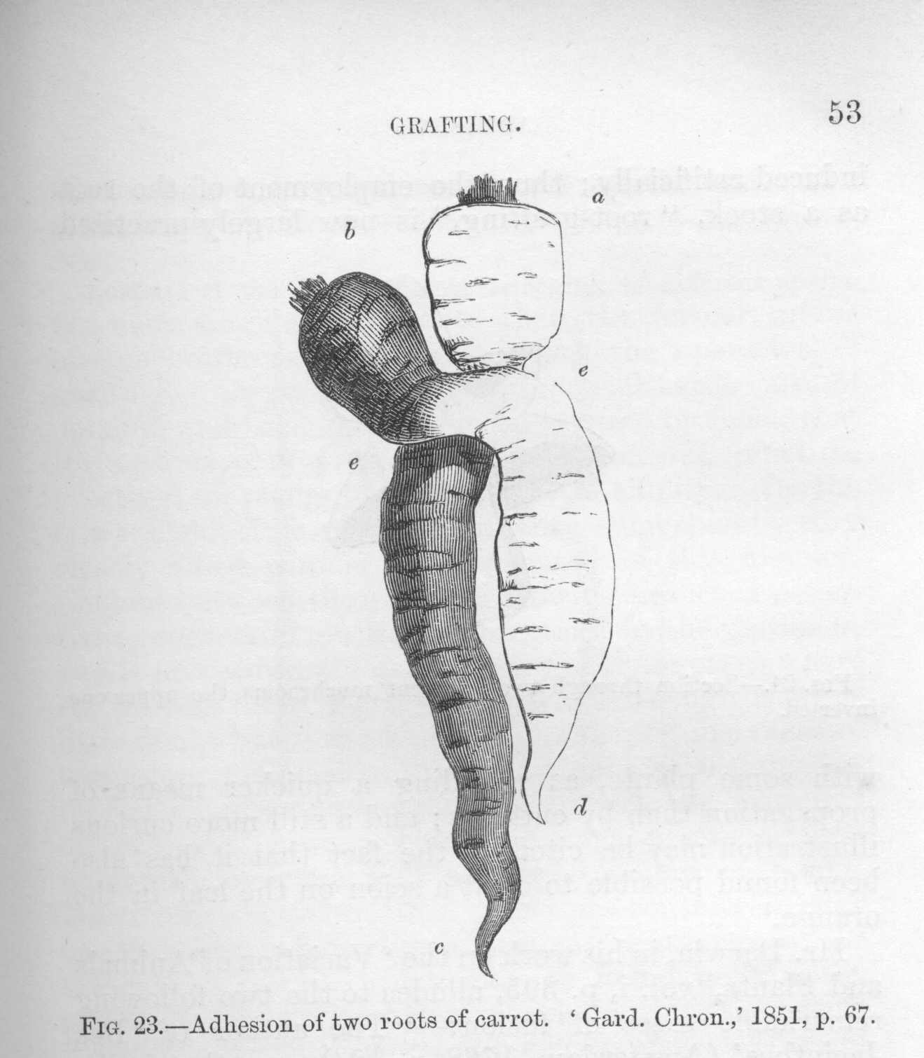 seite_089a.jpg